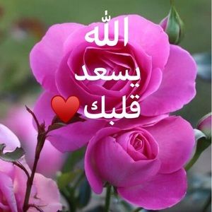 Meet your Posher, Itedal